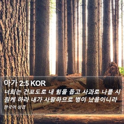 아가 2:5 KOR Bible Verse Image