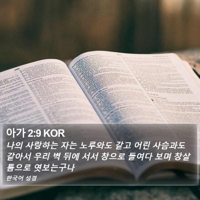 아가 2:9 KOR Bible Verse Image