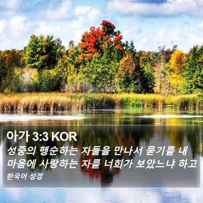 아가 3:3 KOR Bible Verse Image