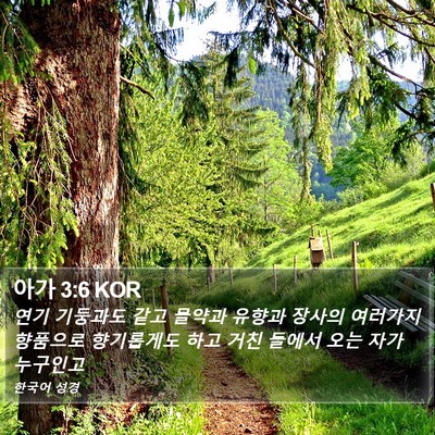 아가 3:6 KOR Bible Verse Image