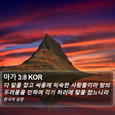 아가 3:8 KOR Bible Verse Image