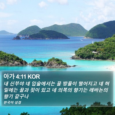 아가 4:11 KOR Bible Verse Image
