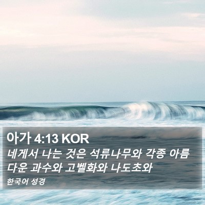 아가 4:13 KOR Bible Verse Image