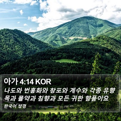 아가 4:14 KOR Bible Verse Image