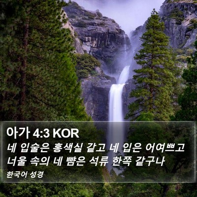 아가 4:3 KOR Bible Verse Image