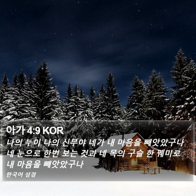 아가 4:9 KOR Bible Verse Image