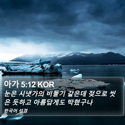 아가 5:12 KOR Bible Verse Image