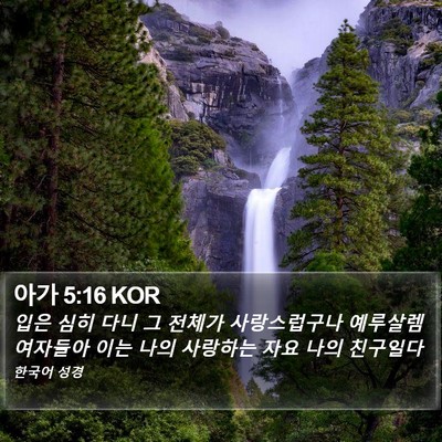 아가 5:16 KOR Bible Verse Image