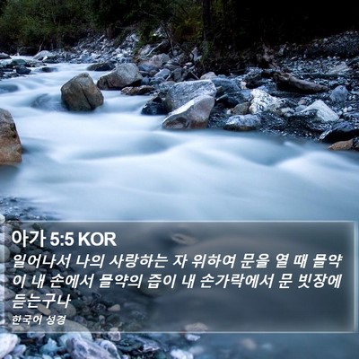 아가 5:5 KOR Bible Verse Image