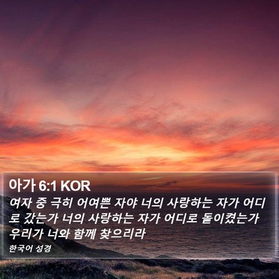 아가 6:1 KOR Bible Verse Image