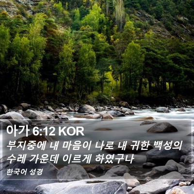 아가 6:12 KOR Bible Verse Image