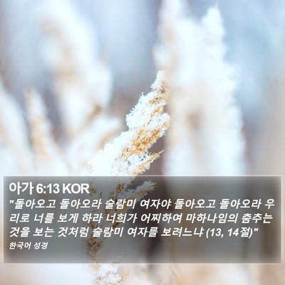 아가 6:13 KOR Bible Verse Image