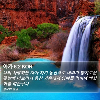 아가 6:2 KOR Bible Verse Image