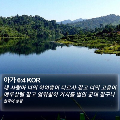 아가 6:4 KOR Bible Verse Image