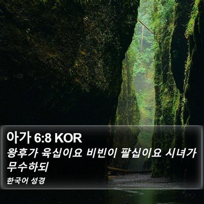 아가 6:8 KOR Bible Verse Image
