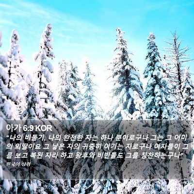 아가 6:9 KOR Bible Verse Image