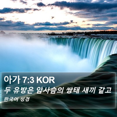 아가 7:3 KOR Bible Verse Image
