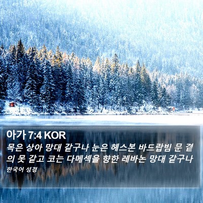 아가 7:4 KOR Bible Verse Image