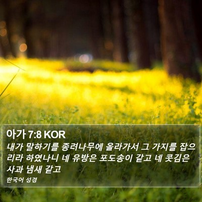 아가 7:8 KOR Bible Verse Image