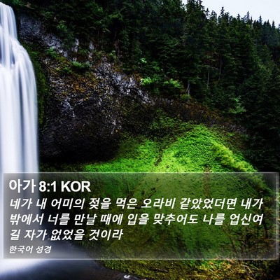 아가 8:1 KOR Bible Verse Image