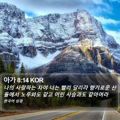 아가 8:14 KOR Bible Verse Image