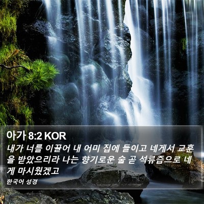 아가 8:2 KOR Bible Verse Image