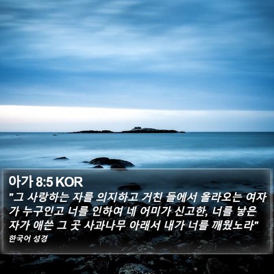 아가 8:5 KOR Bible Verse Image