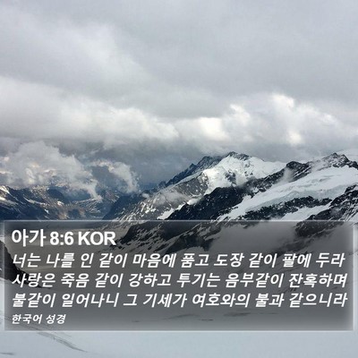 아가 8:6 KOR Bible Verse Image