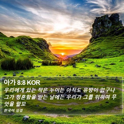 아가 8:8 KOR Bible Verse Image