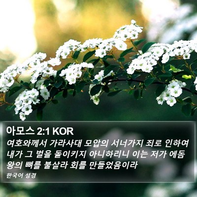 아모스 2:1 KOR Bible Verse Image