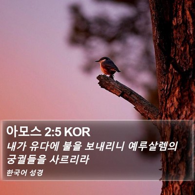 아모스 2:5 KOR Bible Verse Image