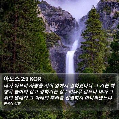 아모스 2:9 KOR Bible Verse Image
