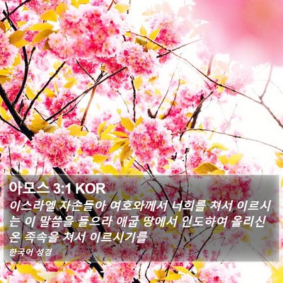 아모스 3:1 KOR Bible Verse Image