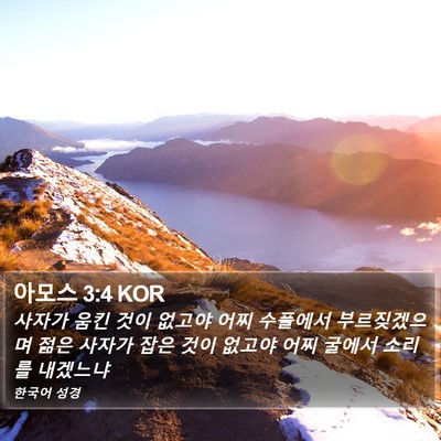아모스 3:4 KOR Bible Verse Image