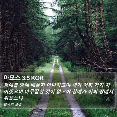 아모스 3:5 KOR Bible Verse Image