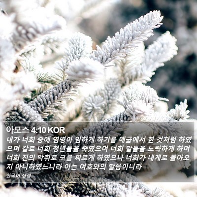 아모스 4:10 KOR Bible Verse Image