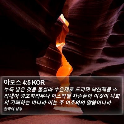 아모스 4:5 KOR Bible Verse Image