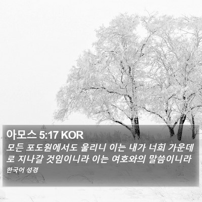 아모스 5:17 KOR Bible Verse Image