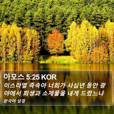 아모스 5:25 KOR Bible Verse Image