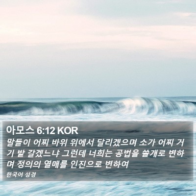 아모스 6:12 KOR Bible Verse Image