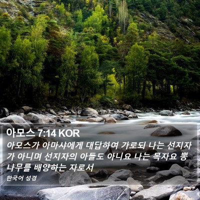 아모스 7:14 KOR Bible Verse Image