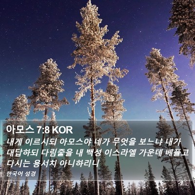 아모스 7:8 KOR Bible Verse Image