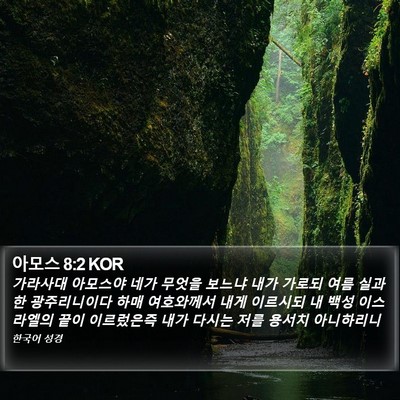 아모스 8:2 KOR Bible Verse Image