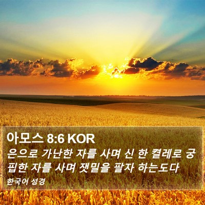 아모스 8:6 KOR Bible Verse Image