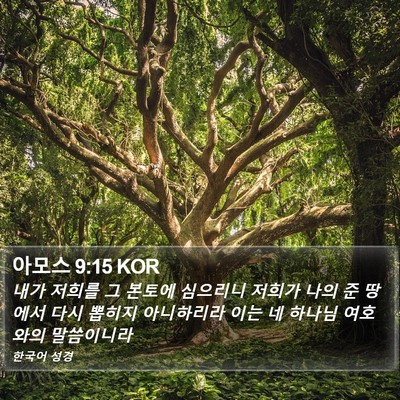 아모스 9:15 KOR Bible Verse Image