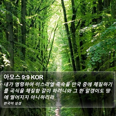 아모스 9:9 KOR Bible Verse Image