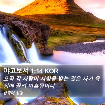 야고보서 1:14 KOR Bible Verse Image