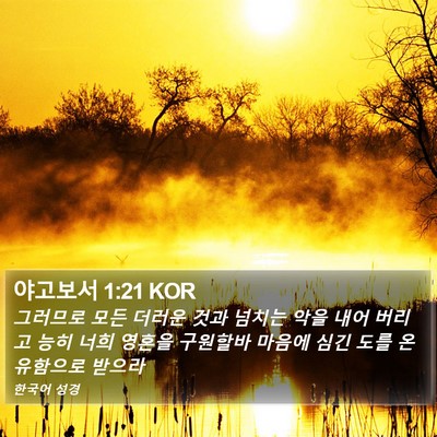 야고보서 1:21 KOR Bible Verse Image