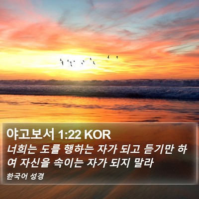 야고보서 1:22 KOR Bible Verse Image