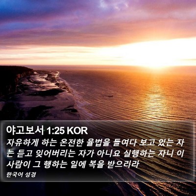 야고보서 1:25 KOR Bible Verse Image
